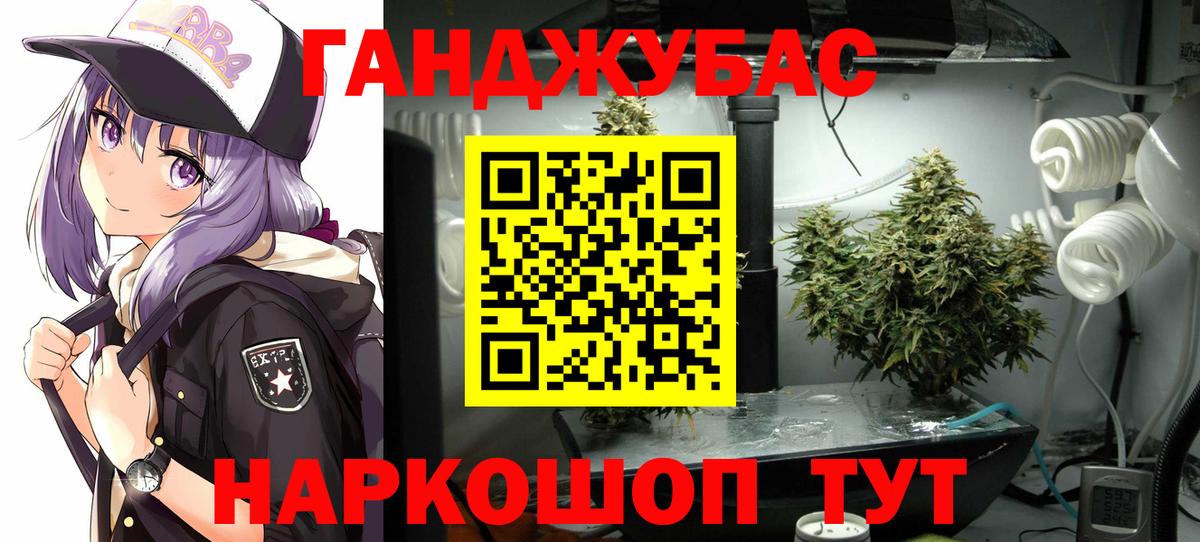 Шишки марихуана конопля  МАРИХУАНА Amnesia  Вход с VPN  Дедовск  Каннабис марихуана 